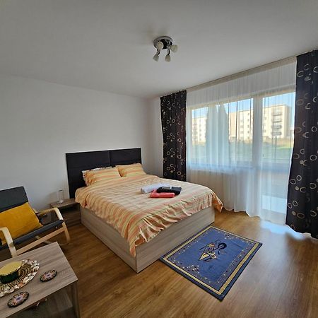 Elena'S Studio Brasov Coresi Екстер'єр фото