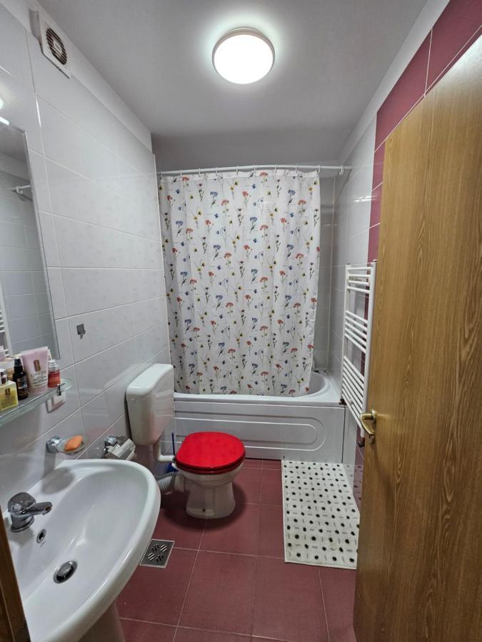 Elena'S Studio Brasov Coresi Екстер'єр фото