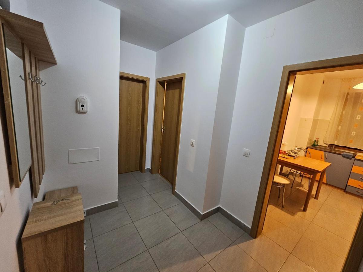 Elena'S Studio Brasov Coresi Екстер'єр фото