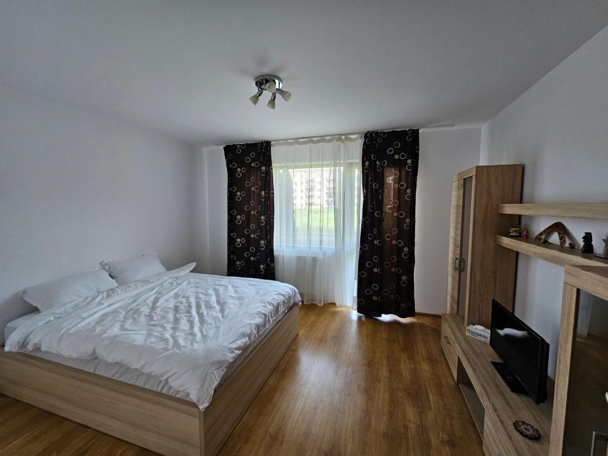 Elena'S Studio Brasov Coresi Екстер'єр фото