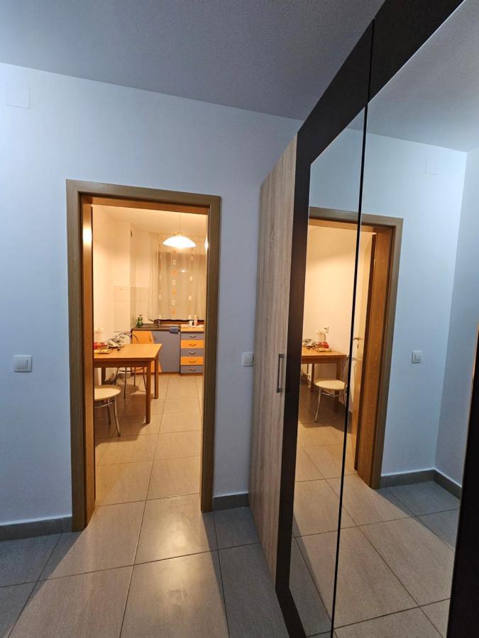 Elena'S Studio Brasov Coresi Екстер'єр фото
