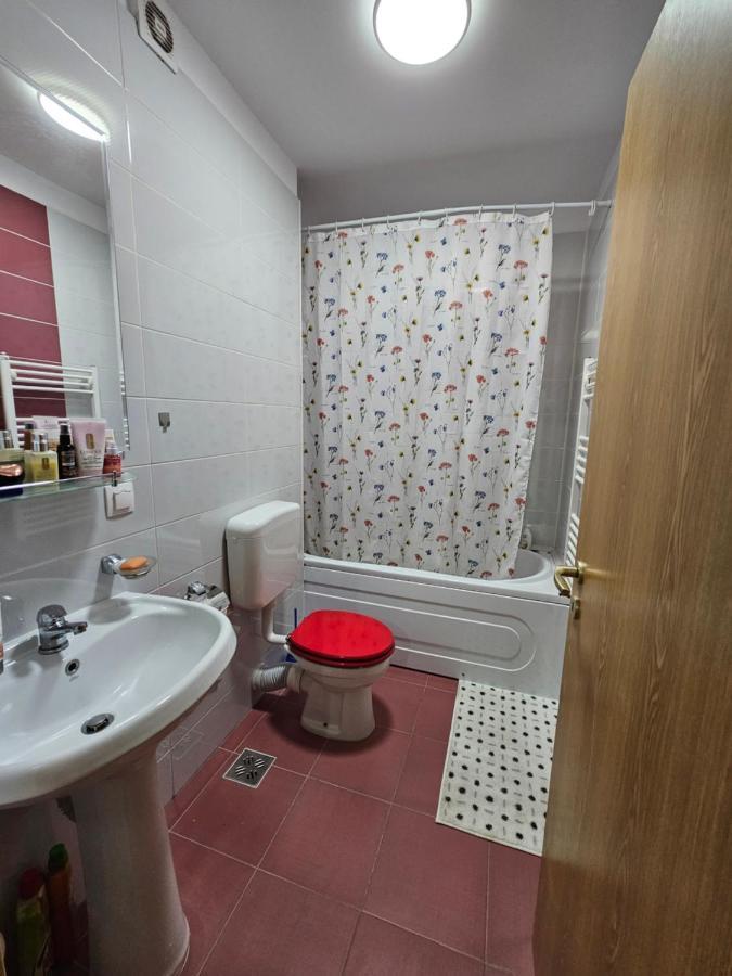 Elena'S Studio Brasov Coresi Екстер'єр фото